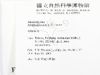 阿太菌屬藏品圖，第2張