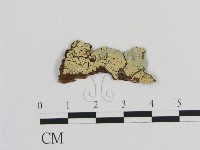 登錄號:F0015716藏品圖，第1張
