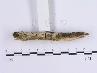 登錄號:F0015718藏品圖，第5張