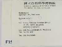 絲皮菌屬藏品圖，第2張