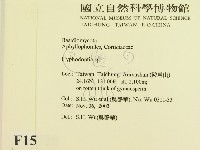 登錄號:F0015720藏品圖，第2張