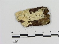 登錄號:F0015720藏品圖，第1張