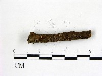 登錄號:F0015721藏品圖，第3張