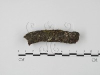 登錄號:F0015722藏品圖，第3張