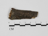 登錄號:F0015724藏品圖，第1張