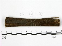 登錄號:F0015726藏品圖，第1張