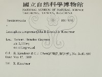 登錄號:F0015728藏品圖，第2張