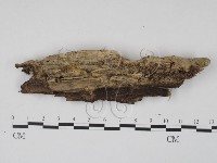 登錄號:F0015728藏品圖，第1張