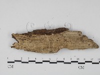 登錄號:F0015728藏品圖，第3張