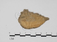 登錄號:F0015729藏品圖，第3張