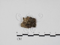 登錄號:F0015730藏品圖，第1張