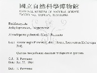 登錄號:F0015732藏品圖，第3張