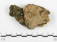 登錄號:F0015732藏品圖，第1張