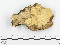 登錄號:F0015732藏品圖，第4張