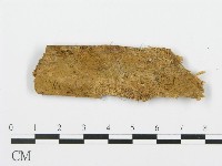 登錄號:F0015733藏品圖，第1張