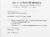 登錄號:F0015734藏品圖，第3張