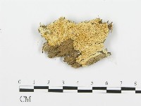 登錄號:F0015734藏品圖，第1張