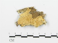 登錄號:F0015734藏品圖，第4張