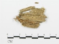 登錄號:F0015734藏品圖，第5張