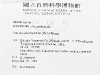 登錄號:F0015735藏品圖，第3張