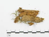 登錄號:F0015735藏品圖，第4張