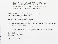 登錄號:F0015736藏品圖，第3張