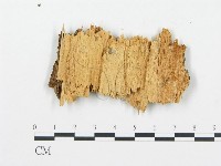 登錄號:F0015736藏品圖，第1張