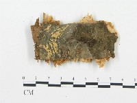 登錄號:F0015736藏品圖，第4張