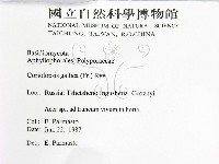 登錄號:F0015737藏品圖，第2張