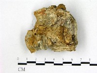 登錄號:F0015737藏品圖，第1張