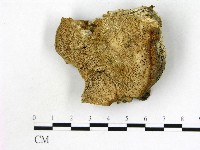 登錄號:F0015737藏品圖，第3張