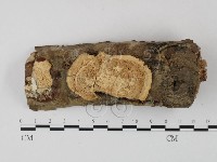 登錄號:F0015738藏品圖，第1張