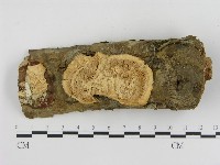 登錄號:F0015738藏品圖，第4張