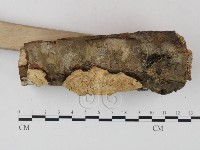 登錄號:F0015738藏品圖，第5張