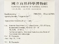 登錄號:F0015740藏品圖，第2張