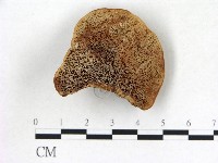 登錄號:F0015740藏品圖，第3張