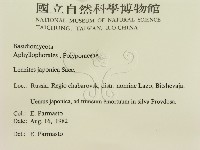 登錄號:F0015741藏品圖，第2張