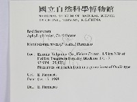 登錄號:F0015742藏品圖，第2張