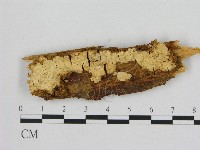 登錄號:F0015742藏品圖，第1張