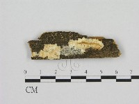 登錄號:F0015743藏品圖，第1張