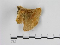 登錄號:F0015744藏品圖，第1張