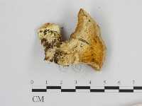 登錄號:F0015744藏品圖，第3張