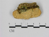 登錄號:F0015745藏品圖，第3張