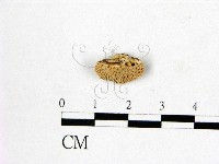 登錄號:F0015746藏品圖，第1張
