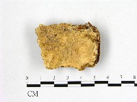登錄號:F0015747藏品圖，第1張