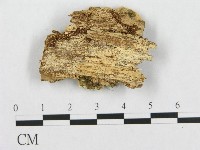 登錄號:F0015748藏品圖，第1張