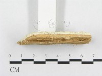 登錄號:F0015749藏品圖，第5張
