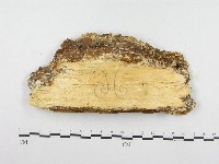 登錄號:F0015750藏品圖，第3張