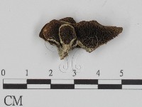 登錄號:F0015751藏品圖，第1張