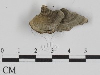 登錄號:F0015751藏品圖，第3張